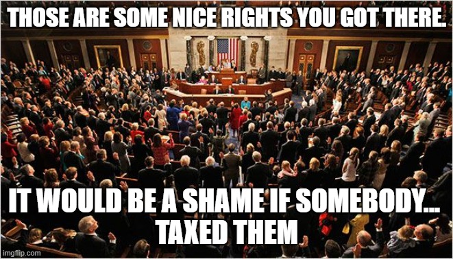 Taxed Rights | THOSE ARE SOME NICE RIGHTS YOU GOT THERE. IT WOULD BE A SHAME IF SOMEBODY... 
TAXED THEM | image tagged in congress,tax,rights,it would be a shame | made w/ Imgflip meme maker