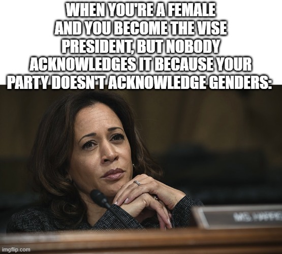She tried so hard but her party doesn't care | WHEN YOU'RE A FEMALE AND YOU BECOME THE VISE PRESIDENT, BUT NOBODY ACKNOWLEDGES IT BECAUSE YOUR PARTY DOESN'T ACKNOWLEDGE GENDERS: | image tagged in kamala harris meme | made w/ Imgflip meme maker