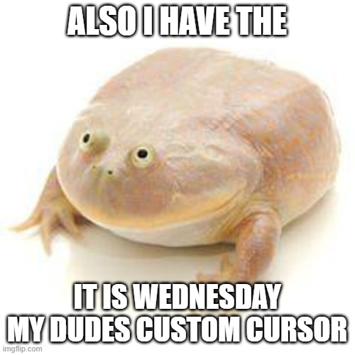 ALSO I HAVE THE IT IS WEDNESDAY MY DUDES CUSTOM CURSOR | image tagged in wednesday frog blank | made w/ Imgflip meme maker