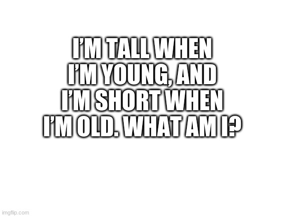 Blank White Template | I’M TALL WHEN I’M YOUNG, AND I’M SHORT WHEN I’M OLD. WHAT AM I? | image tagged in blank white template | made w/ Imgflip meme maker