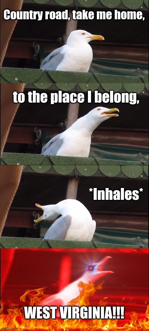 Inhaling Seagull | Country road, take me home, to the place I belong, *Inhales*; WEST VIRGINIA!!! | image tagged in memes,inhaling seagull | made w/ Imgflip meme maker