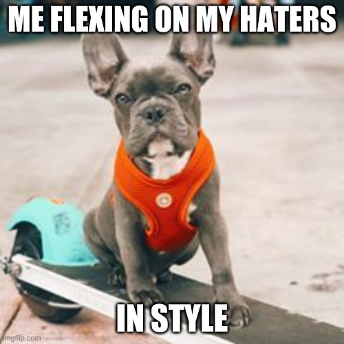 Flexing on my haters | ME FLEXING ON MY HATERS; IN STYLE | image tagged in memes,funny memes | made w/ Imgflip meme maker