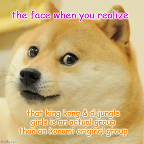 its realatable to some people | the face when you realize; that king kong & d jungle girls is an actual group than an konami original group | image tagged in memes,doge,ddr,dancedancerevolution | made w/ Imgflip meme maker