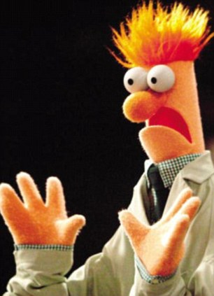 Muppet Shocked Blank Meme Template