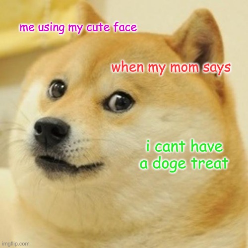 doge wants a treat | me using my cute face; when my mom says; i cant have a doge treat | image tagged in memes,doge | made w/ Imgflip meme maker