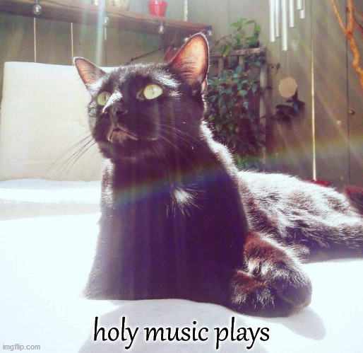 Cat God Speaks | holy music plays | image tagged in cat god speaks | made w/ Imgflip meme maker