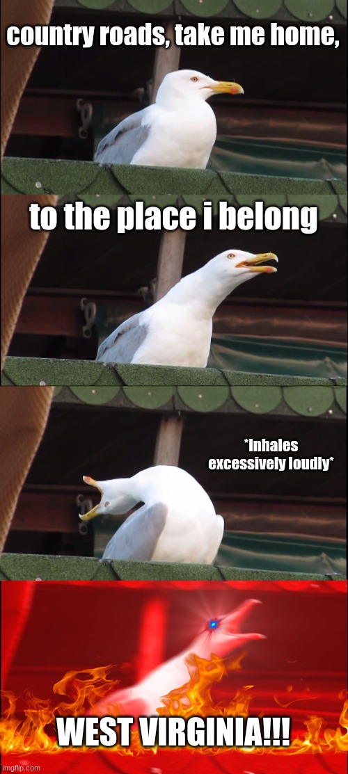 Inhaling Seagull | country roads, take me home, to the place i belong; *Inhales excessively loudly*; WEST VIRGINIA!!! | image tagged in memes,inhaling seagull | made w/ Imgflip meme maker