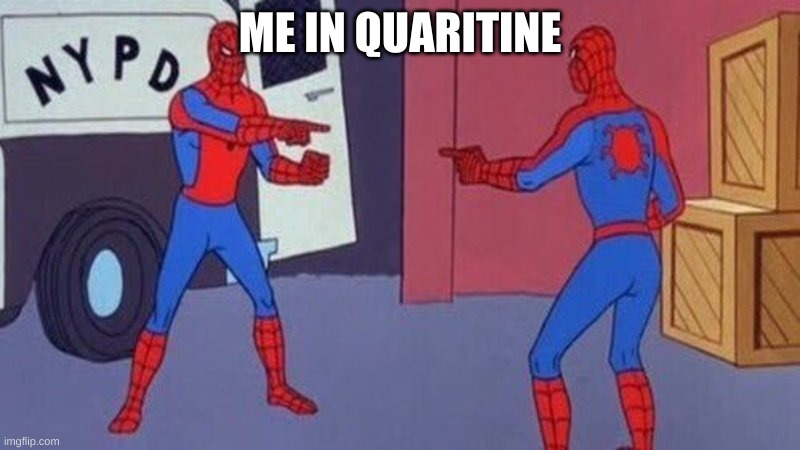 QUARINTINE | ME IN QUARITINE | image tagged in spiderman pointing at spiderman | made w/ Imgflip meme maker