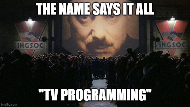 1984 | THE NAME SAYS IT ALL "TV PROGRAMMING" | image tagged in 1984 | made w/ Imgflip meme maker