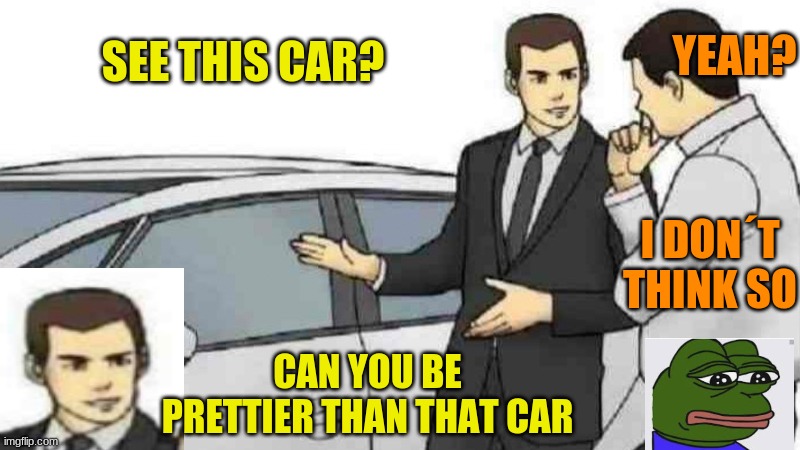 Car Salesman Slaps Roof Of Car |  YEAH? SEE THIS CAR? I DON´T THINK SO; CAN YOU BE PRETTIER THAN THAT CAR | image tagged in memes,car salesman slaps roof of car | made w/ Imgflip meme maker