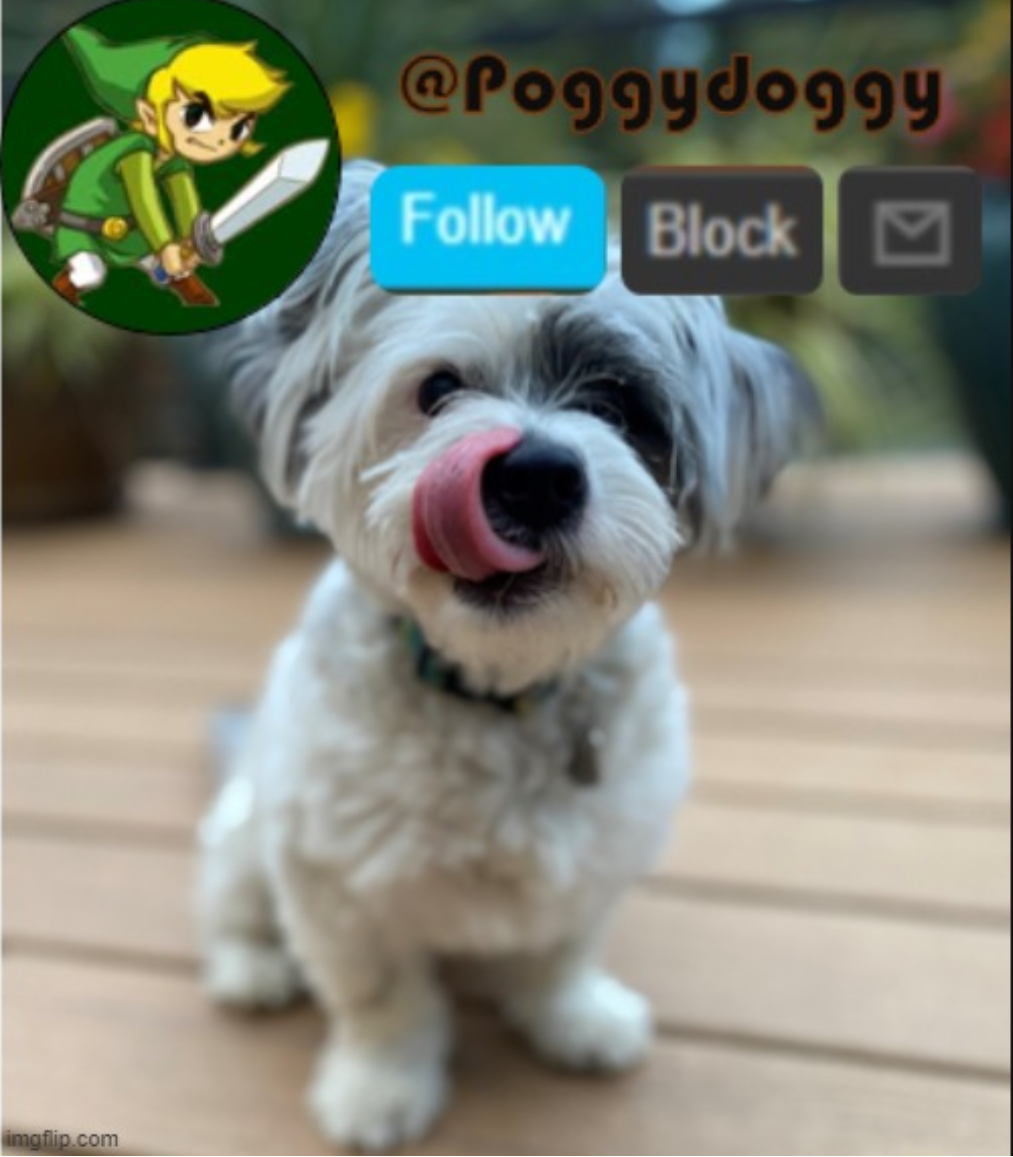 poggydoggy Blank Meme Template