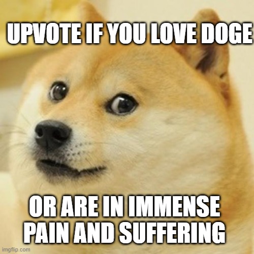 Doge Meme | UPVOTE IF YOU LOVE DOGE; OR ARE IN IMMENSE PAIN AND SUFFERING | image tagged in memes,doge | made w/ Imgflip meme maker
