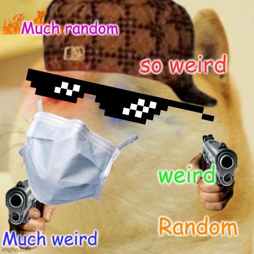 RANDOM | Much random; so weird; weird; Random; Much weird | made w/ Imgflip meme maker