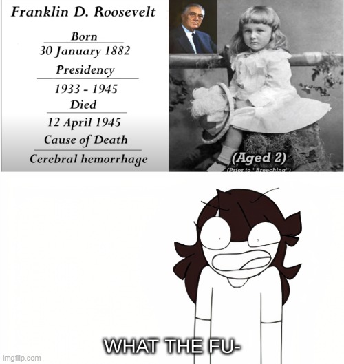 Why does Franklin Roosevelt look so much like a girl? | image tagged in jaiden animations what the fu-,franklin d roosevelt,girl | made w/ Imgflip meme maker