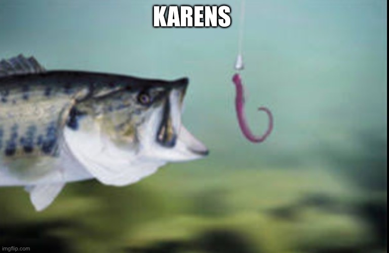 Fish being lured | KARENS | image tagged in fish being lured | made w/ Imgflip meme maker