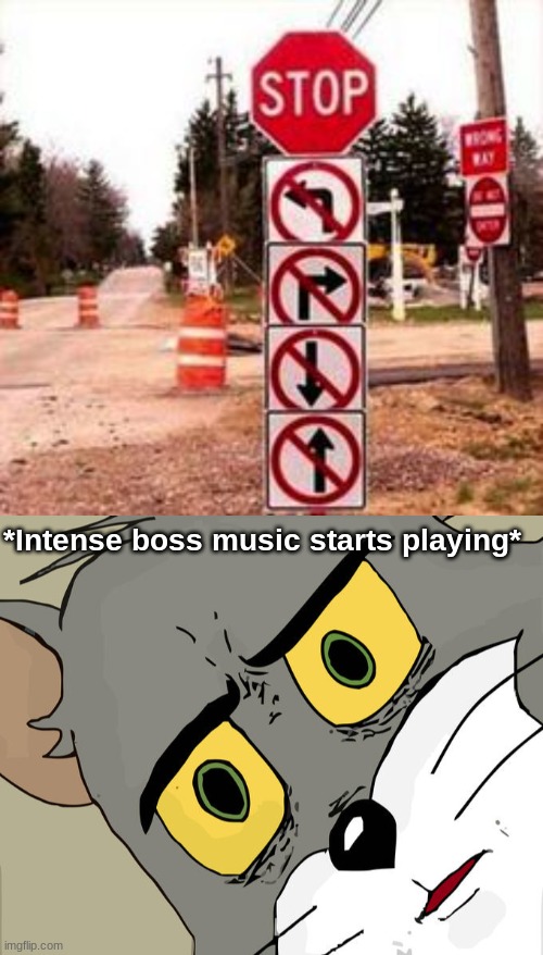 What. | *Intense boss music starts playing* | image tagged in memes,unsettled tom,funny signs,road signs | made w/ Imgflip meme maker