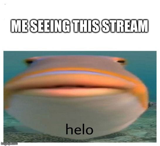 h e n l o | ME SEEING THIS STREAM | image tagged in henlo fish | made w/ Imgflip meme maker