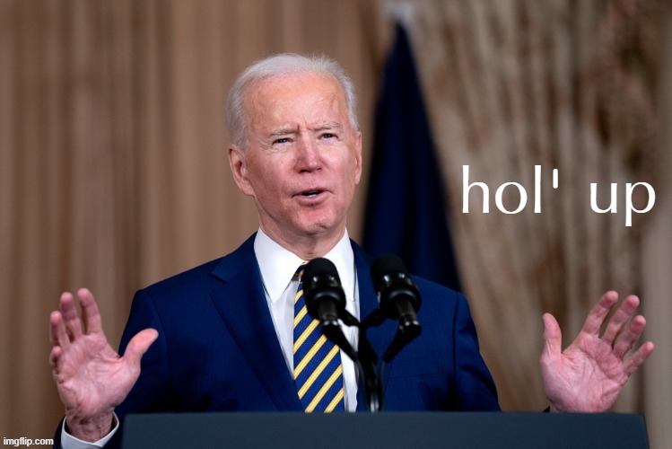 Joe Biden hol' up | image tagged in joe biden hol' up | made w/ Imgflip meme maker