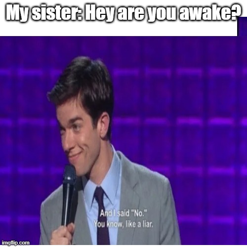 Low effort, founded in reddit and thought it will be good to share it here, link in the comments if want to suposrt the original | My sister: Hey are you awake? | image tagged in hey are you sleeping,memes | made w/ Imgflip meme maker