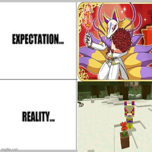 a Random meme | image tagged in yo-kai watch,kyubi,minecraft,expectation vs reality,expectations vs reality | made w/ Imgflip meme maker