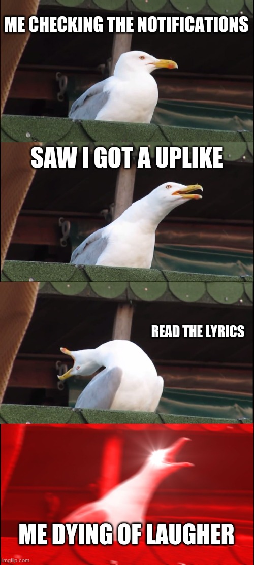 Inhaling Seagull Meme | ME CHECKING THE NOTIFICATIONS SAW I GOT A UPLIKE READ THE LYRICS ME DYING OF LAUGHER | image tagged in memes,inhaling seagull | made w/ Imgflip meme maker