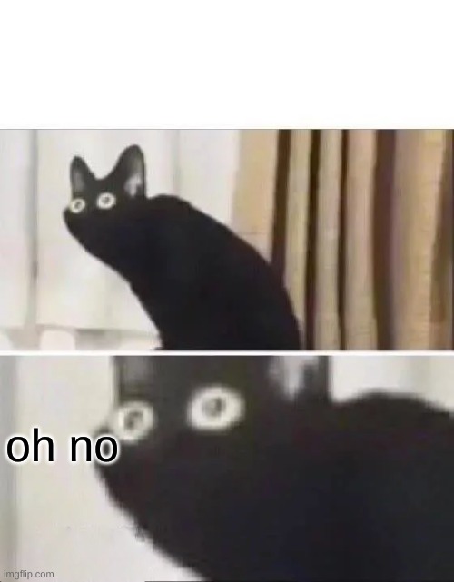 Oh No Black Cat | oh no | image tagged in oh no black cat | made w/ Imgflip meme maker