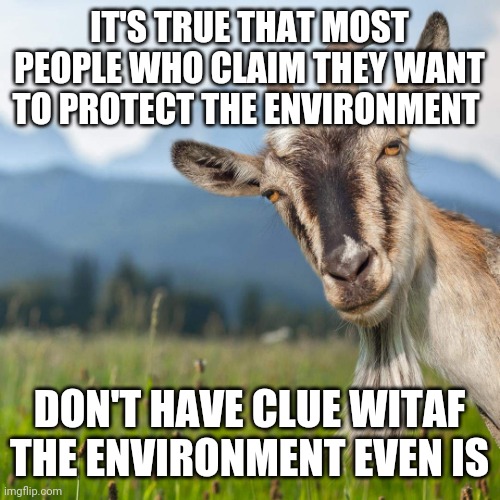 creepy condescending goat | IT'S TRUE THAT MOST PEOPLE WHO CLAIM THEY WANT TO PROTECT THE ENVIRONMENT DON'T HAVE CLUE WITAF THE ENVIRONMENT EVEN IS | image tagged in creepy condescending goat | made w/ Imgflip meme maker