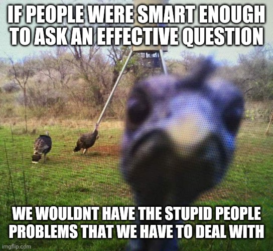 Jiveass Turkey | IF PEOPLE WERE SMART ENOUGH TO ASK AN EFFECTIVE QUESTION WE WOULDNT HAVE THE STUPID PEOPLE PROBLEMS THAT WE HAVE TO DEAL WITH | image tagged in jiveass turkey | made w/ Imgflip meme maker