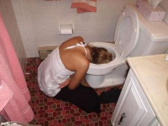 Drunk Girl Toilet | image tagged in drunk girl toilet | made w/ Imgflip meme maker