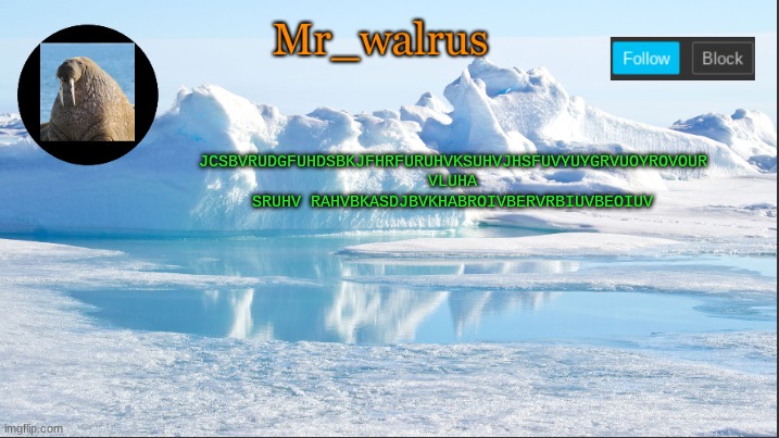 Mr_walrus | JCSBVRUDGFUHDSBKJFHRFURUHVKSUHVJHSFUVYUYGRVUOYROVOUR VLUHA SRUHV RAHVBKASDJBVKHABROIVBERVRBIUVBEOIUV | image tagged in mr_walrus | made w/ Imgflip meme maker