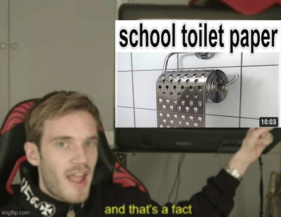 School toilet paper so bad | image tagged in and that's a fact,toliet,paper,bad,school | made w/ Imgflip meme maker