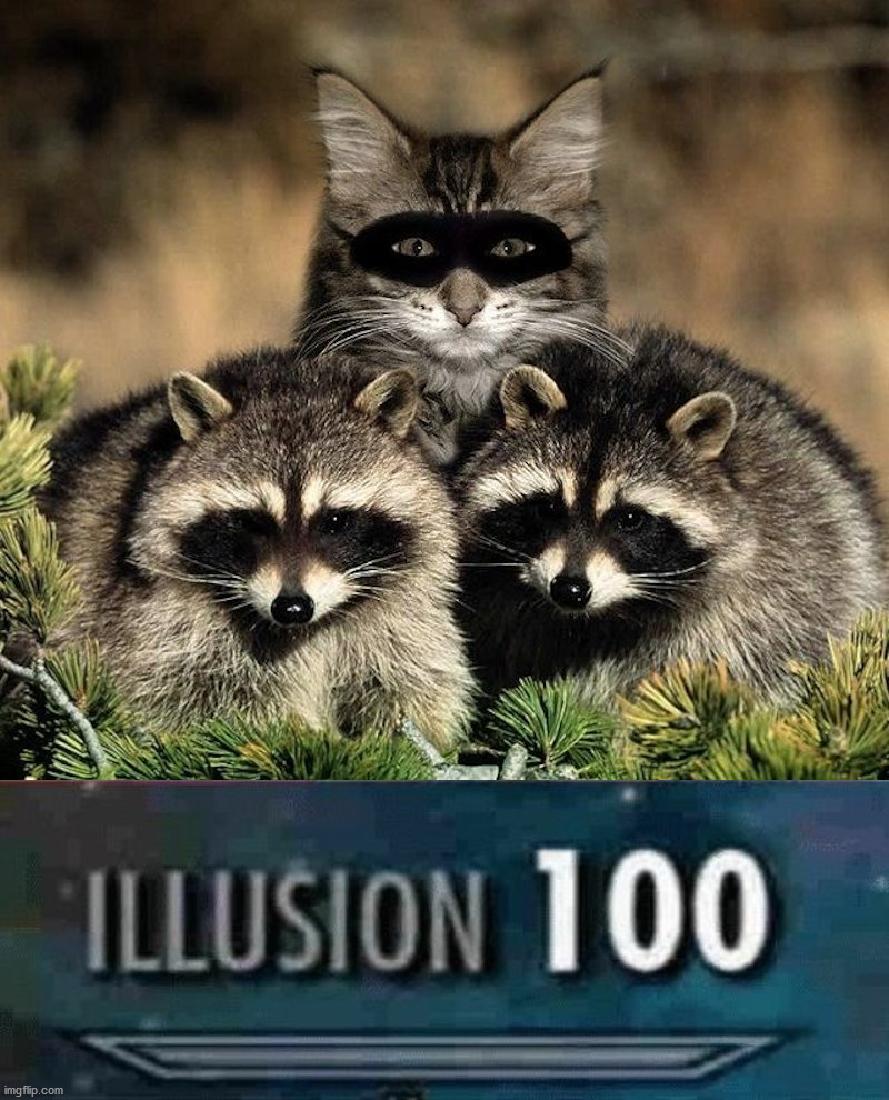 Bandits. | image tagged in illusion 100 | made w/ Imgflip meme maker