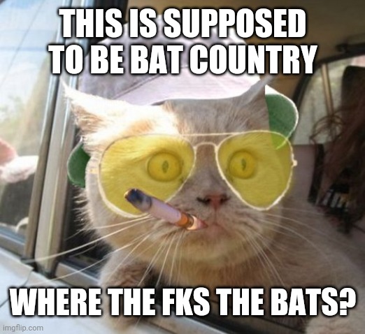 Fear And Loathing Cat | THIS IS SUPPOSED TO BE BAT COUNTRY; WHERE THE FKS THE BATS? | image tagged in memes,fear and loathing cat | made w/ Imgflip meme maker