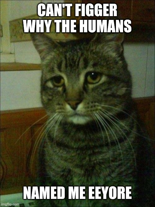 Depressed Cat Meme | CAN'T FIGGER WHY THE HUMANS; NAMED ME EEYORE | image tagged in memes,depressed cat | made w/ Imgflip meme maker
