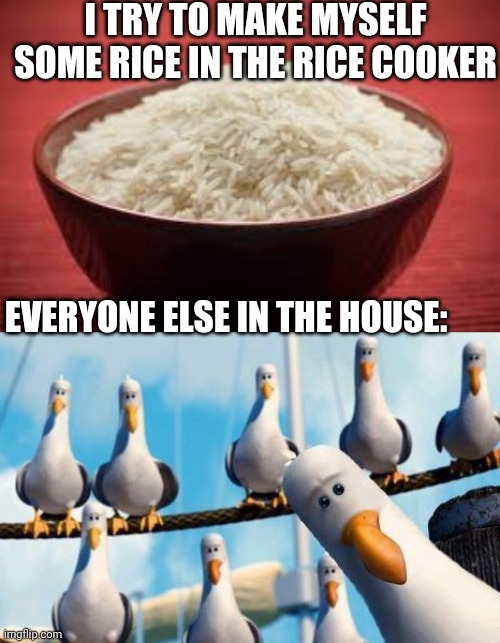 All about that rice | I TRY TO MAKE MYSELF SOME RICE IN THE RICE COOKER; EVERYONE ELSE IN THE HOUSE: | image tagged in all this rice,mine seagulls | made w/ Imgflip meme maker