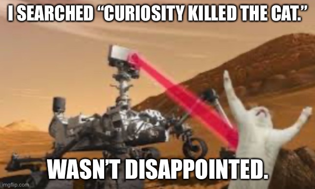 “Curiosity killed the cat.” | I SEARCHED “CURIOSITY KILLED THE CAT.”; WASN’T DISAPPOINTED. | image tagged in cats,mars,curiosity,killed,google search,repost | made w/ Imgflip meme maker