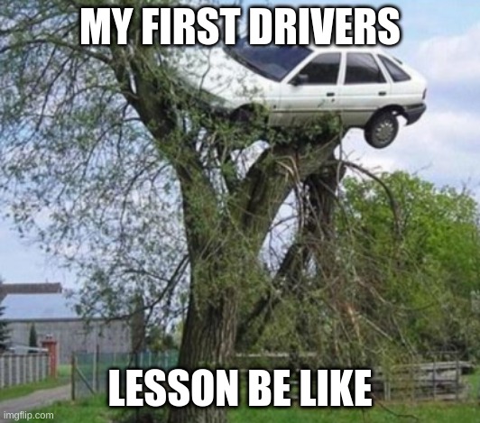 tree car | MY FIRST DRIVERS; LESSON BE LIKE | image tagged in weird stuff | made w/ Imgflip meme maker