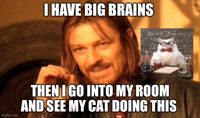 Got played | I HAVE BIG BRAINS; THEN I GO INTO MY ROOM AND SEE MY CAT DOING THIS | image tagged in memes,one does not simply | made w/ Imgflip meme maker