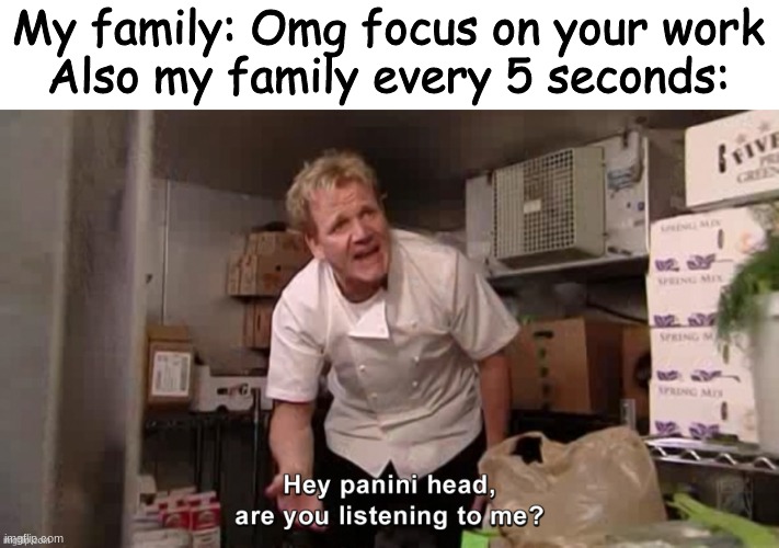 My family: Omg focus on your work
Also my family every 5 seconds: | made w/ Imgflip meme maker