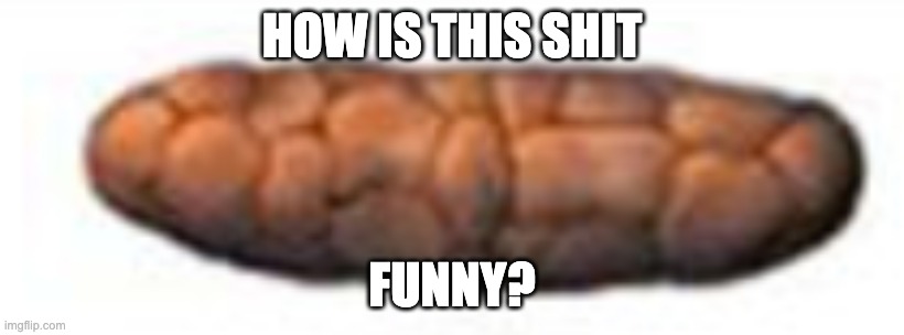 How is this SHIT funny ? | HOW IS THIS SHIT; FUNNY? | image tagged in pooping,memes,disgusting,why,shit,yummy | made w/ Imgflip meme maker