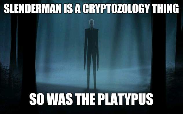 So if its part of a real science, Slenderman can be real | SLENDERMAN IS A CRYPTOZOLOGY THING; SO WAS THE PLATYPUS | image tagged in slenderman,platypus,cryptozology,real | made w/ Imgflip meme maker
