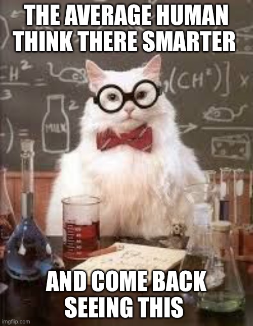 SMART CAT | THE AVERAGE HUMAN THINK THERE SMARTER; AND COME BACK SEEING THIS | image tagged in smart cat | made w/ Imgflip meme maker