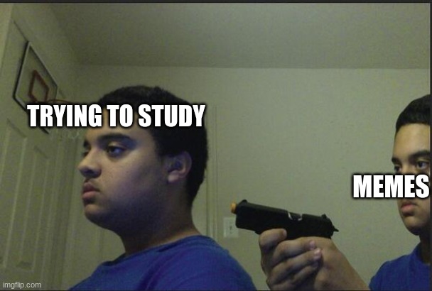 Trust Nobody, Not Even Yourself | TRYING TO STUDY; MEMES | image tagged in trust nobody not even yourself | made w/ Imgflip meme maker