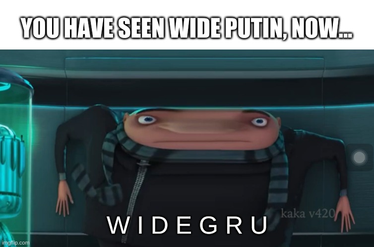 lol i had to | YOU HAVE SEEN WIDE PUTIN, NOW... W I D E G R U | image tagged in memes,funny,gru meme,wide,lol | made w/ Imgflip meme maker