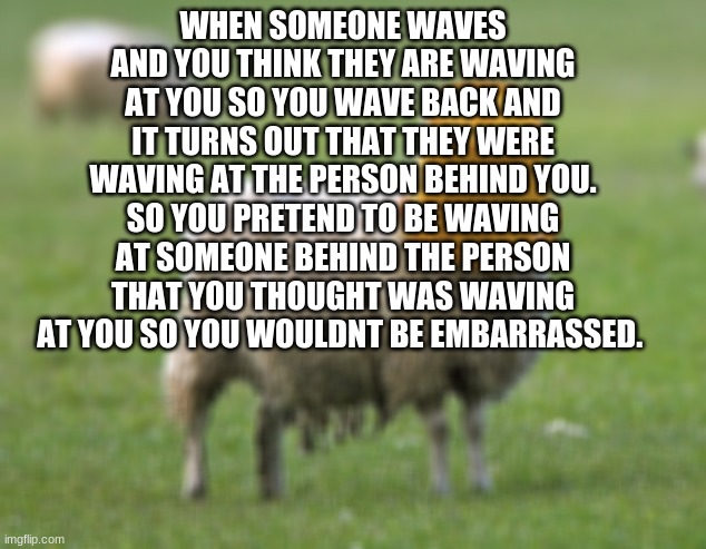 Embarrassing moments. | WHEN SOMEONE WAVES AND YOU THINK THEY ARE WAVING AT YOU SO YOU WAVE BACK AND IT TURNS OUT THAT THEY WERE WAVING AT THE PERSON BEHIND YOU. SO YOU PRETEND TO BE WAVING AT SOMEONE BEHIND THE PERSON THAT YOU THOUGHT WAS WAVING AT YOU SO YOU WOULDNT BE EMBARRASSED. | image tagged in stupid sheep,idiots,that moment when you realize | made w/ Imgflip meme maker