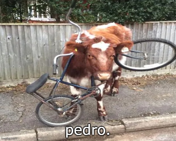 pedro. | pedro. | image tagged in pedro,funny animals,animals,memes,dank memes | made w/ Imgflip meme maker