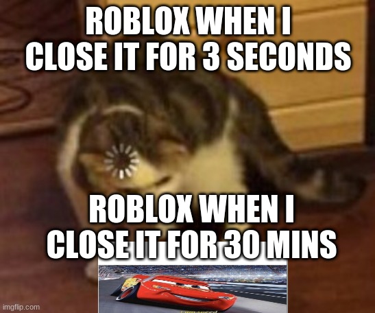Loading cat | ROBLOX WHEN I CLOSE IT FOR 3 SECONDS; ROBLOX WHEN I CLOSE IT FOR 30 MINS | image tagged in loading cat | made w/ Imgflip meme maker