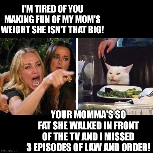 Smudge the cat | I'M TIRED OF YOU MAKING FUN OF MY MOM'S WEIGHT SHE ISN'T THAT BIG! YOUR MOMMA'S SO FAT SHE WALKED IN FRONT OF THE TV AND I MISSED 3 EPISODES OF LAW AND ORDER! | image tagged in smudge the cat | made w/ Imgflip meme maker