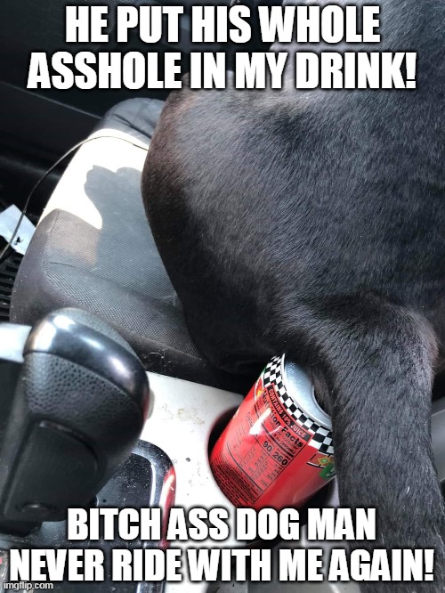 HE PUT HIS WHOLE ASSHOLE IN MY DRINK! BITCH ASS DOG MAN NEVER RIDE WITH ME AGAIN! | image tagged in dog,bitch,asshole,car | made w/ Imgflip meme maker