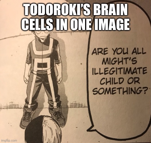 Love child |  TODOROKI’S BRAIN CELLS IN ONE IMAGE | image tagged in mha,bnha,my hero academia,anime,weebs | made w/ Imgflip meme maker